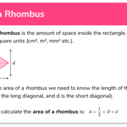 Area of rhombus and kite worksheet