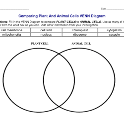 Venn plant diagram animal cell cells vs between comparing worksheet choose board science inspirational structure body drawing notes