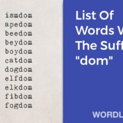 Words that have the suffix dom