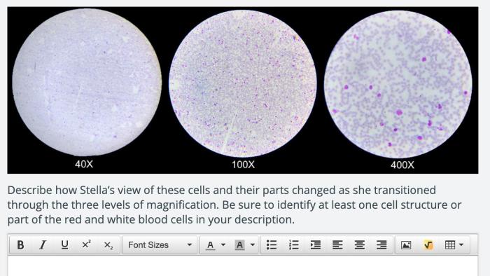 Virtual microscope by bionetwork answer key