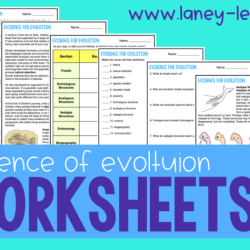 Evidence of evolution worksheet answers key pdf