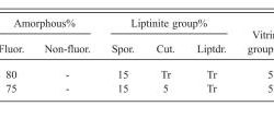 Fossilization frontiers morphology inflectional sensitivity