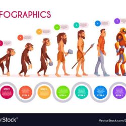 Student exploration human evolution skull analysis